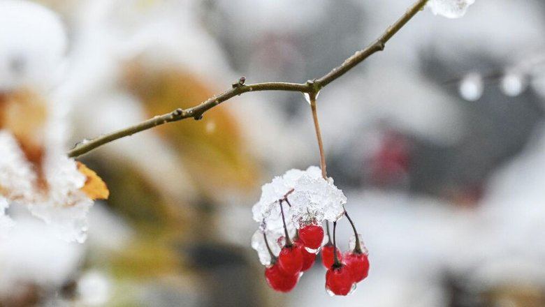 Роскосмос показал видео с циклоном, принесшим в Москву первый снег