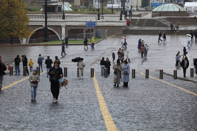 Синоптик рассказала, когда ждать снега в Москве