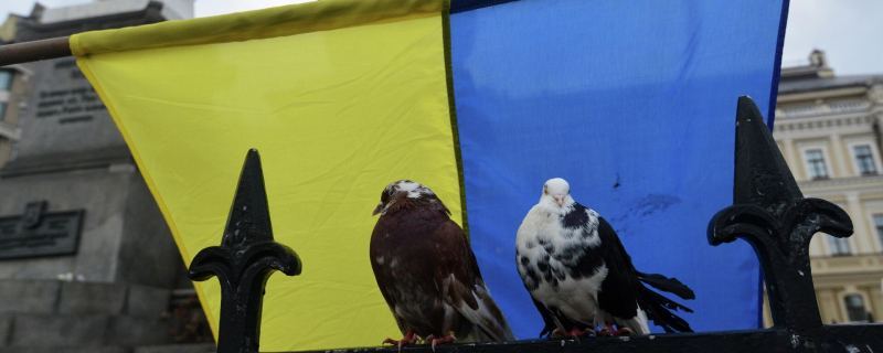 Ситуация на Украине