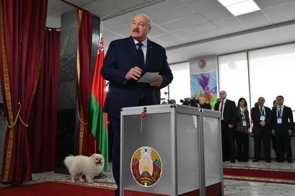 Президент Беларуси Александр Лукашенко со своим питомцем шпицем Умкой на избирательном участке в Минске во время выборов 26 февраля 2025 года.