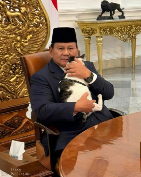 Президент Индонезии Прабово Субианто с котом Бобби Кертанегаром.