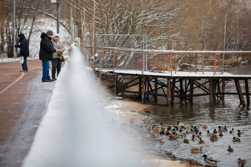 В воскресенье жителей Москвы и Подмосковья ожидают облачность и гололедица