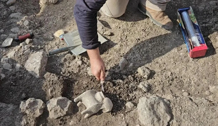 Вино Армагеддона: в Израиле нашли винодельческий пресс возрастом 5000 лет и предметы культа (фото)