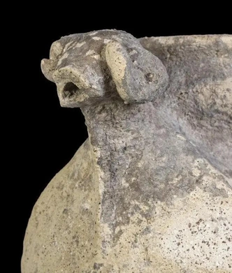 Вино Армагеддона: в Израиле нашли винодельческий пресс возрастом 5000 лет и предметы культа (фото)