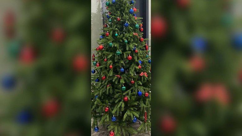 Житель Москвы потребовал убрать ёлку в подъезде, задевшую его религиозные чувства