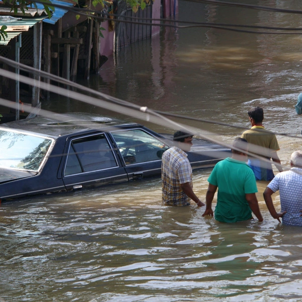 «Бассейны превратились в болота»: что сейчас происходит в затопленной Шри-Ланке — 9 фото