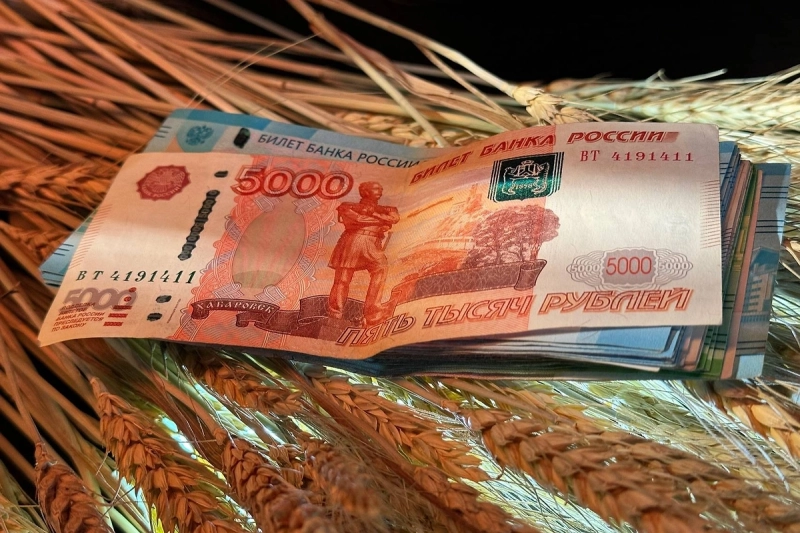 Долги других государств перед Россией выросли до максимума с 1998 года