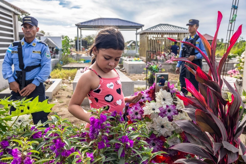 National Geographic представил лучшие снимки 2026 года