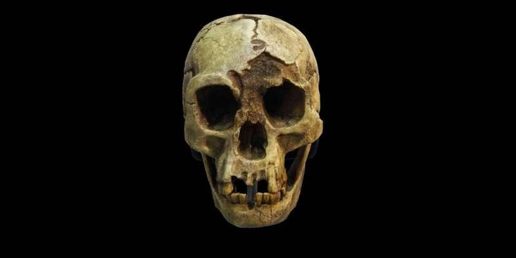 Последний след «хоббитов»: как климат и вулканы изменили их мир