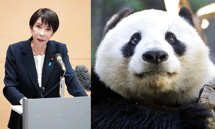 Премьер Японии не на шутку разозлила китайцев: Пекин пошел на крайнюю меру