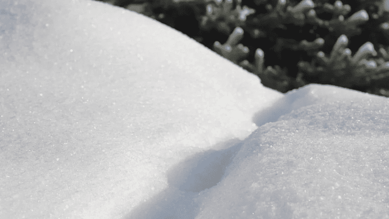 Тишковец: сугробы в Центральной России вырастут до 13 см к Новому году