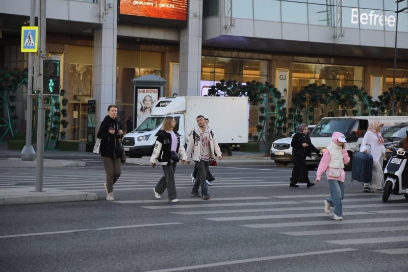 В 2028 году в России проведут микроперепись