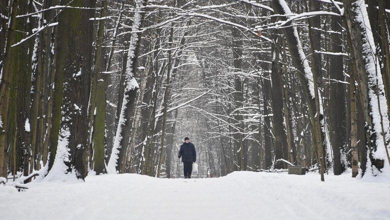 В Москве к Рождеству вырастут 30-ти сантиметровые сугробы, заявил синоптик
