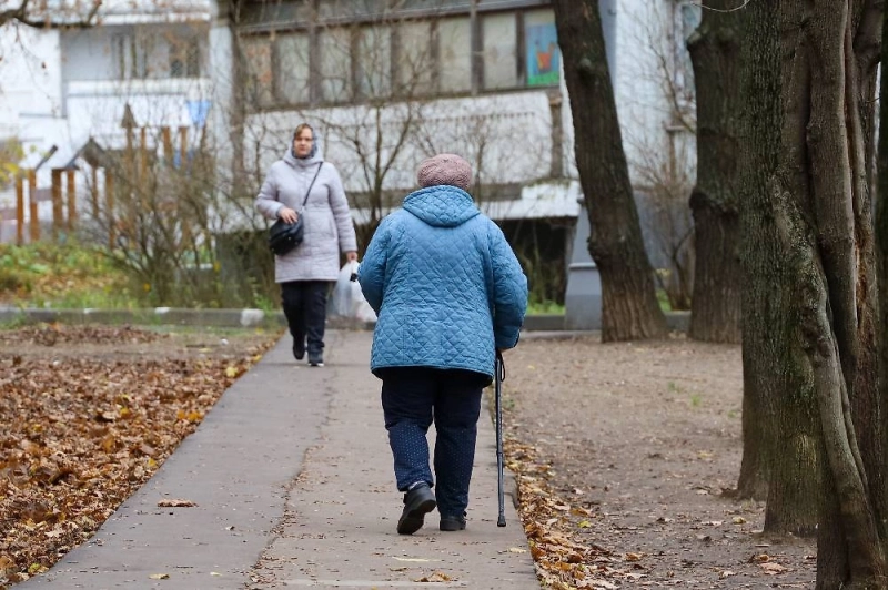 Законы с 1 декабря 2025: штрафы, запреты, правила, что изменится в России