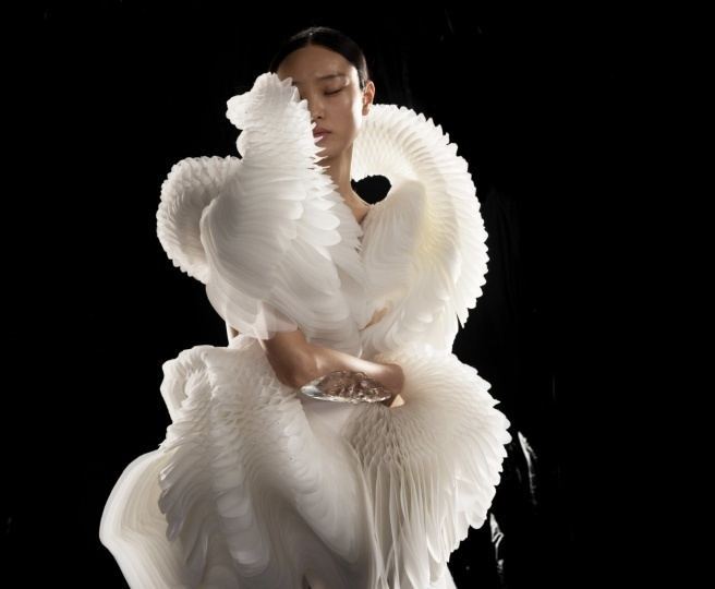 Бруклинский музей покажет более 140 работ Ирис ван Херпен