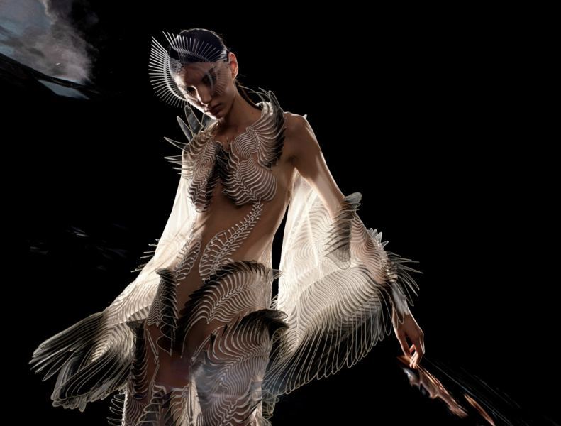 Бруклинский музей покажет более 140 работ Ирис ван Херпен