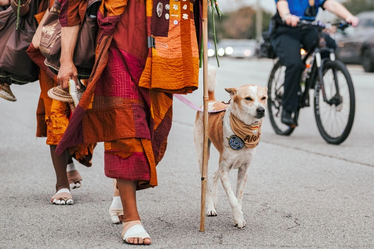 Буддийские монахи идут в Вашингтон: «прогулка за мир» по США