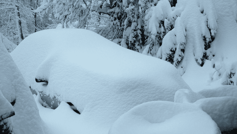 Чудо под Новый год: Две москвички выжили после падения с 5-го и 12-го этажей