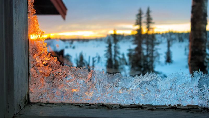 Эти узоры на окнах повышают счета и риск плесени — вы знали?
