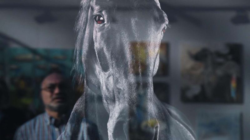Лошади вокруг нас: искусство, миф и современность (фото)