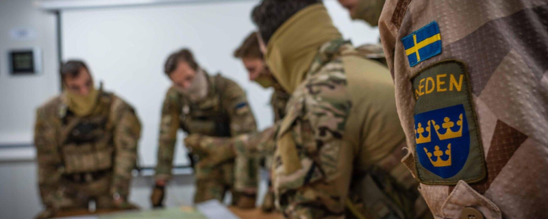 Военнослужащие армии Швеции