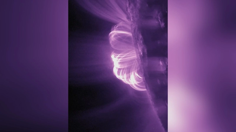 На Солнце произошла первая крупная вспышка в 2026 году