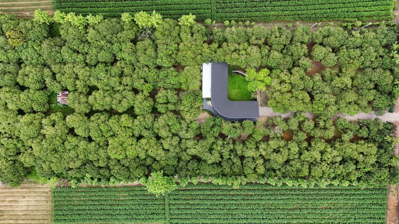 Новое кафе "MADA" в маленьком саду в городе Чианграй, Таиланд