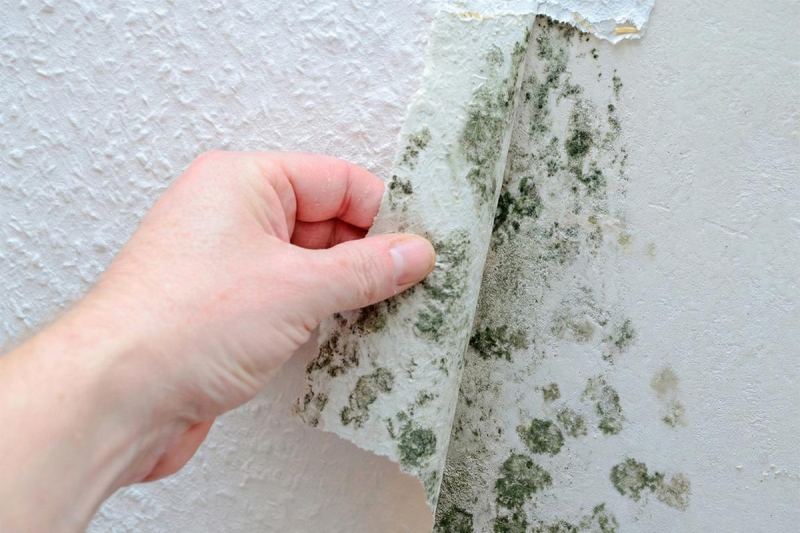 Ошибки, долги и дефекты: главные страхи покупателей вторичного жилья