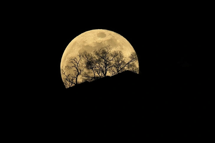 Первое в 2026 году суперлуние произошло на Земле — фотографы поделились завораживающими снимками