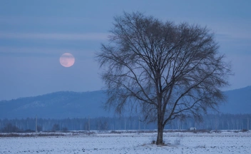 Первое в 2026 году суперлуние произошло на Земле — фотографы поделились завораживающими снимками
