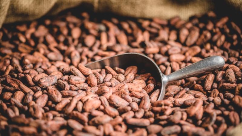 Сладкие надежды: как резкое снижение мировых цен на какао может отразиться на стоимости шоколада в России