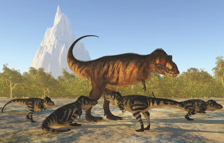 Ученые выяснили, что тираннозавр рекс взрослел 40 лет