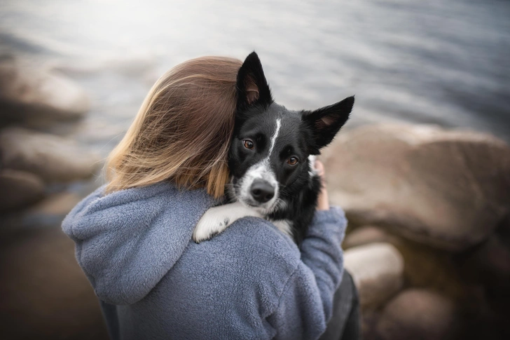 Ушки на макушке: ученые выяснили, зачем собаки подслушивают своих хозяев