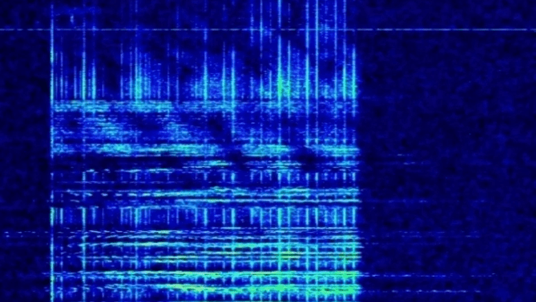 В эфире радиостанции «Судного дня» прозвучало слово «люэсобаул»