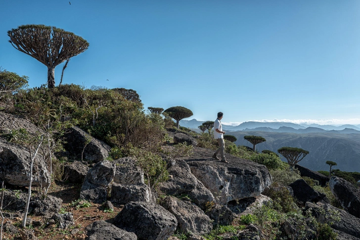Закрытые границы и отмена рейсов: россияне и иностранцы ждут эвакуации с острова Сокотра из-за ЧП в Йемене