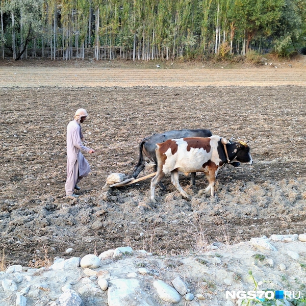 «Женщины не носят паранджу»: путешественник объехал весь Афганистан и развеял популярные мифы