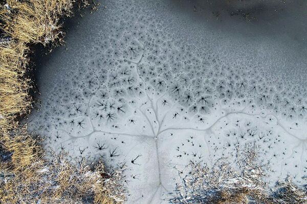 &amp;quot;Ледяные цветы&amp;quot; расцветают на замерзшей реке в парке Фэньхэ в городе Тайюань, провинция Шаньси, Китай.