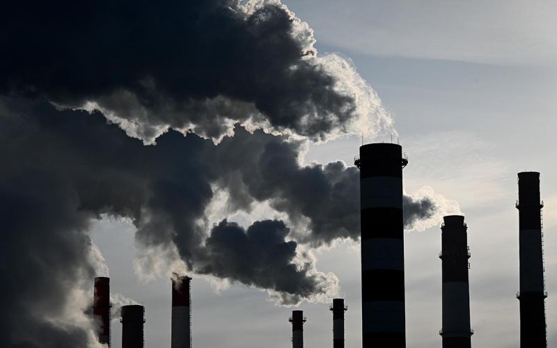 Экорейтинг: названы самые экологичные и неблагоприятные районы Москвы