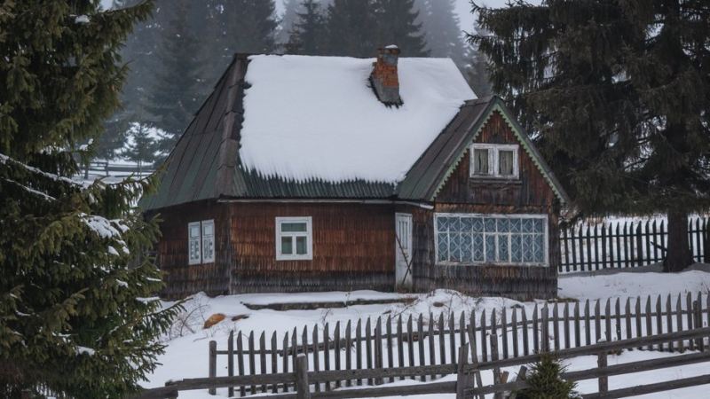 Старый деревенский дом из дерева стоит в снегу среди елей