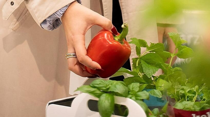 MOBI: роботизированная тележка для покупок