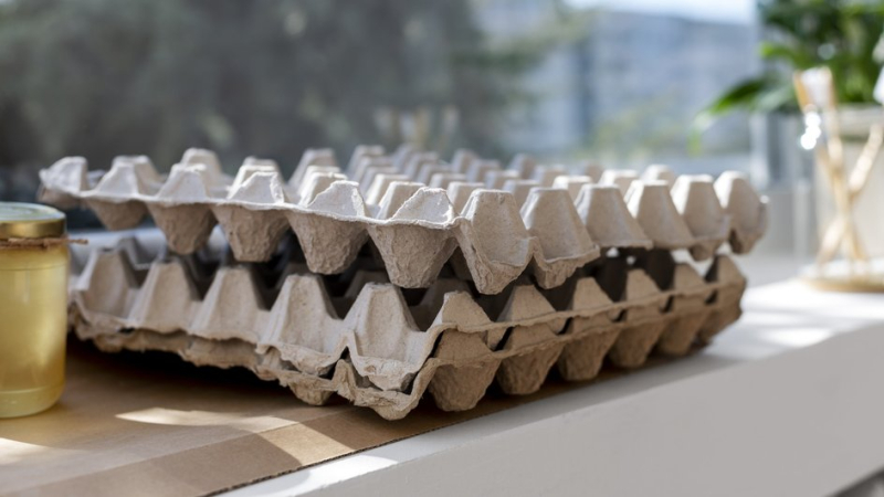 Картонная упаковка от яиц на подоконнике для повторного использования в быту