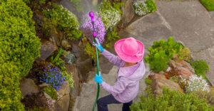 Альпийская горка в ландшафтном дизайне / Skillbox Media