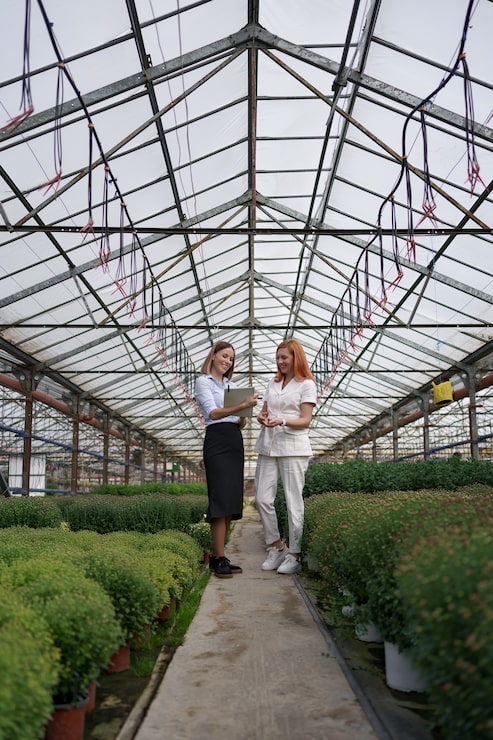 Как построить теплицу из поликарбоната своими руками